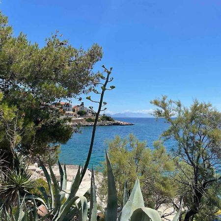 Apartments Papic Trogir Buitenkant foto